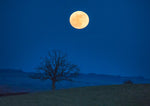The Importance of Night Time Erections