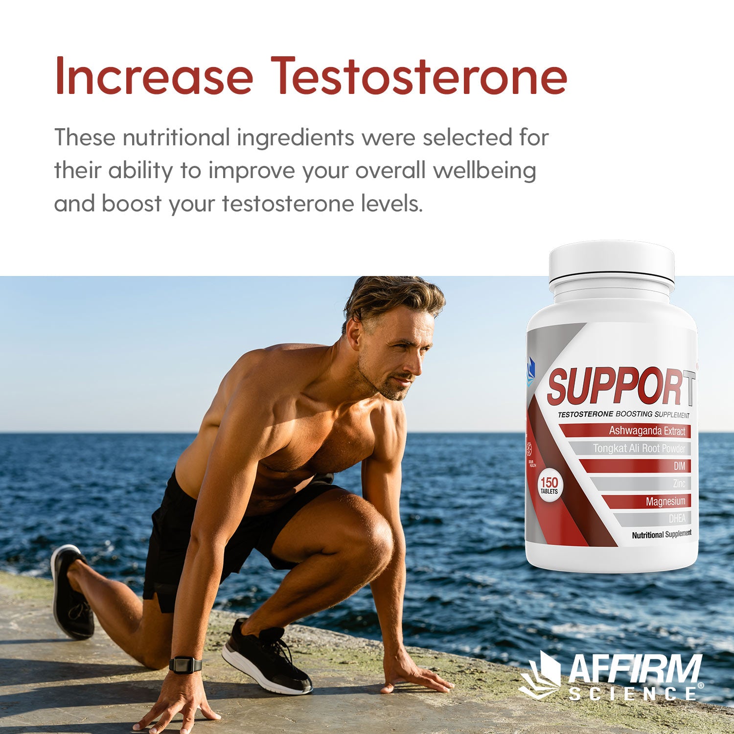 SUPPORT I TESTOSTERONE BOOSTER I 150 TABLETS I 5 MONTHS SUPPLY
